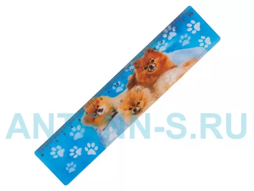 Линейка 3D 20 см "BR-75782", ОБЪЕМНАЯ, Домашние любимцы, европодвес